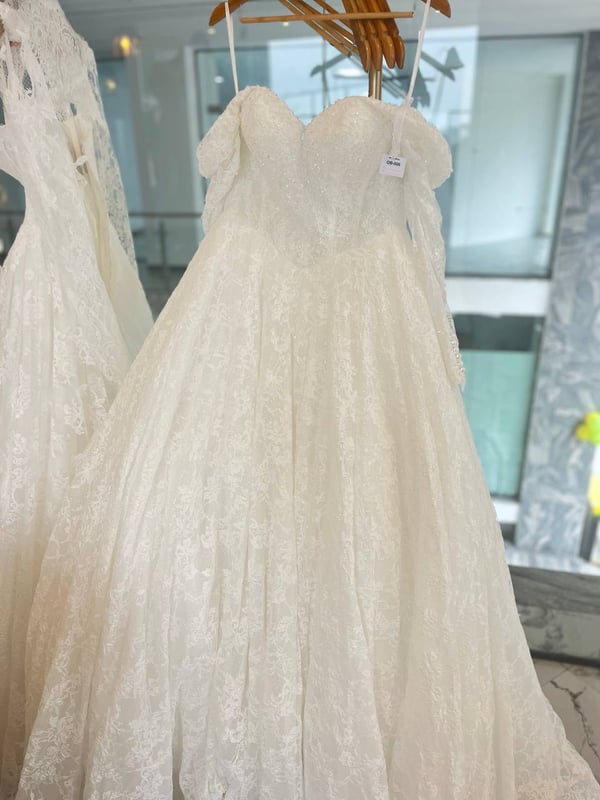 Princess with a sleeve — Ball Gown